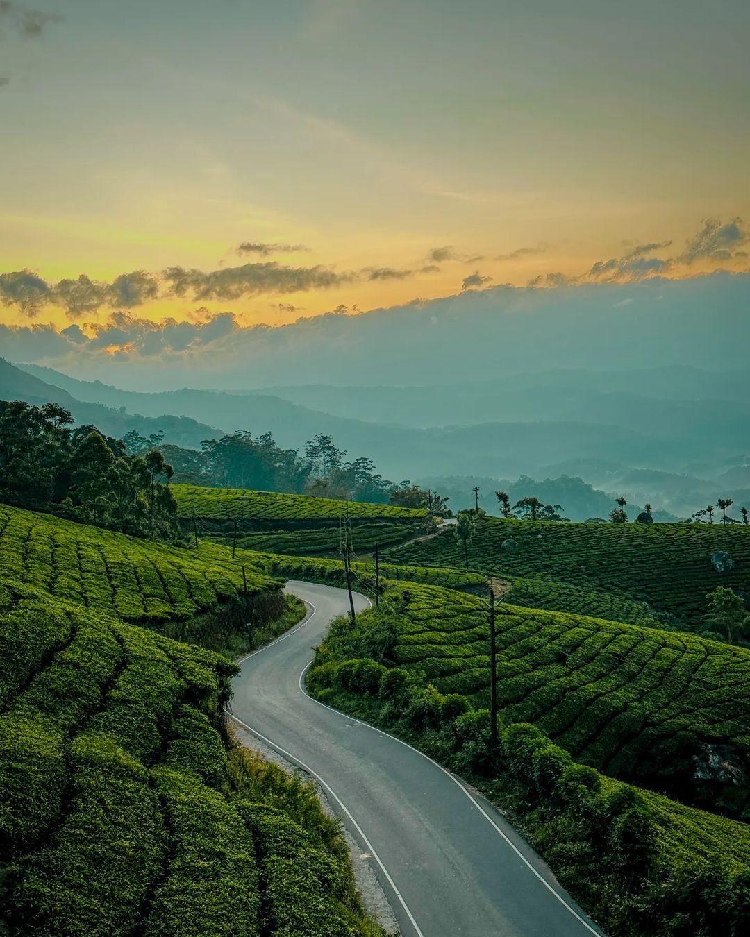 Hidden Gems of Munnar: Beyond the Popular Tea Estates